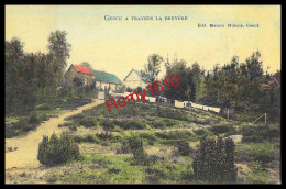 Genk à Travers La Bruyère - Jolie Carte! - Genk