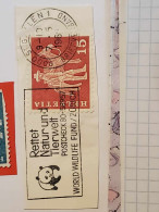 Säumer Mit Maultier - Used Stamps