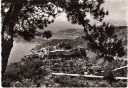 06 - EZE  Entre Les Pins - Eze