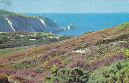 AK 215582 ENGLAND - I. W. - Alum Bay And The Needles - Other & Unclassified