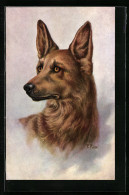 Künstler-AK Schäferhund - Portrait  - Chiens