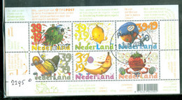 Nederland 2004 * NVPH 2295 * POSTFRIS GESTEMPELD * BLOK * BLOCK * BLOC * - Used Stamps