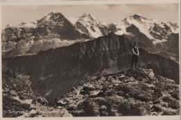 72323 - Schweiz - Schynige Platte - Männlichen Und Hochalpen - 1932 - Sonstige & Ohne Zuordnung