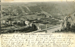 Belgique - Namur - Vallée De La Meuse - Le Château De Freyr - Other & Unclassified