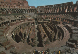 100421 - Italien - Rom - Roma - Interno Colosseo - Ca. 1985 - Autres & Non Classés