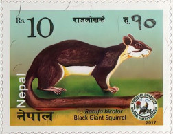 Black Giant Squirrel Adhesive Postage Stamp 2017 Nepal MNH - Domestic Cats