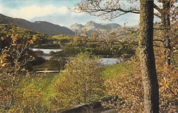 AK 215599 ENGLAND -  Elterwater And Langdale Pikes - Sonstige & Ohne Zuordnung