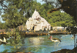 *CPM - 71 - ROMANECHE-THORINS - Parc Zoologique Condeminals - Le Rocher - Oiseaux - Autres & Non Classés