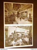 Esposizione Panificazione Macinatura Milano 1887 Galleria Dei Forni - Voor 1900