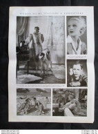 Olivia Fried, Peter Bosse, Isa Miranda+Pesca Delfini A Molfetta Stampa Del 1937 - Andere & Zonder Classificatie