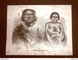 Un Uomo E Una Donna Indigeni D'Australia Nel 1883 - Vor 1900
