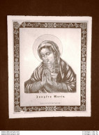 La Vergine Maria Collezione Clausen Stampa Popolare Scandinava Scandinavia - Other & Unclassified