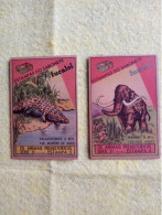 Cromo (2)eucalol SOAP Better No Postcard Rare Prehistoric Animal.mammut.paleoscincus.6*9cmt.late Post.reg Letter E7. - Prehistory
