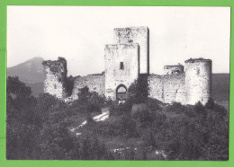AUDE / PUIVERT / CHATEAU MEDIEVAL CATHARE / ENTREE PRINCIPALE..... Carte Vierge - Sonstige & Ohne Zuordnung