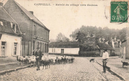 CAPPELLE - Entrée Du Village Vers Orchies. Un Berger Et Ses Moutons. - Cappelle La Grande