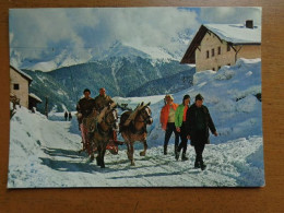 Paard, Horse, Cheval / Winter In Tirol --> Written - Chevaux