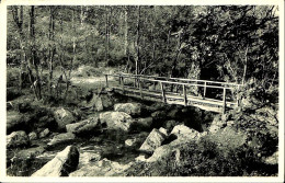 Belgique - Liège - Vallée De La Hoëgne - Pont Du Renard - Spa