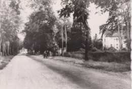 40 SAINT GEIN  -  Route D'AIRE Et Le Chateau  -  CPSM GF  - - Autres & Non Classés