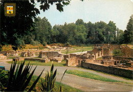 Belgium Koksijde - Coxyde Church Ruins - Koksijde