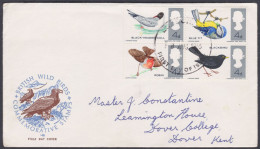 GB Great Britain 1966 Private FDC British Wild Birds, Eagle, Robin, Gull, Blackbird, Blue Tit, Bird, First Day Cover - Brieven En Documenten