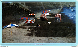 NÂ°11012 Z -cpsm The Sand Bath At Ibusuki Spa Kagoshima - Autres & Non Classés