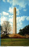 NÂ°11754 Z -cpsm Washington Monument - Washington DC