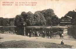 NÂ°12115 Z -cpa Bruxelles -lac Du Bois De La Cambre- - Forêts, Parcs, Jardins