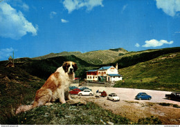 NÂ°13874 Z -cpsm Dolomiti -nombeuses Voitures Dont Fiat- - Voitures De Tourisme