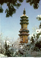NÂ°14064 Z -cpsm Pagoda Of Treasures - Chine