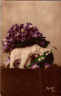 Carte -   Elephant  , Violette    AQ1030  Suzy - Elephants