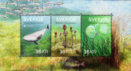 Sweden - 2024 - Europa CEPT - Underwater Fauna And Flora - Mint Souvenir Sheet - Neufs