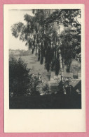 67 - TIEFFENBACH - Carte Photo - Vue Du Village - Other & Unclassified