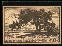 Künstler-AK Frankfurt A. O., Wandervogel Bundestag 1914, Grosser Baum  - Scouting