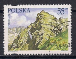 POLOGNE    N° 3408   OBLITERE - Used Stamps