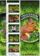 Netherlands - 2024 - Safari In The Netherlands - Rodents & Hares - Mint Stamp Sheetlet - Unused Stamps