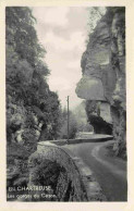 73 - Savoie - En Chartreuse - Les Gorges Du Cozon - CPSM Format CPA - Voir Scans Recto-Verso - Other & Unclassified