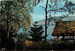88 - Gérardmer - Les Rives Romantiques Du Lac - Flamme Postale De Bains Les Bains - CPM - Voir Scans Recto-Verso - Gerardmer