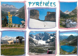 65 - Hautes Pyrénées - Multivues - CPM - Voir Scans Recto-Verso - Sonstige & Ohne Zuordnung