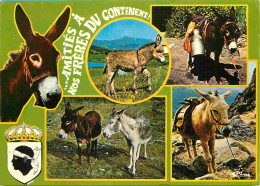Animaux - Anes - Corse - Multivues - Blasons - Donkeys - Burros - Esel - Asini - CPM - Flamme Postale De Ghisonacciao 20 - Donkeys