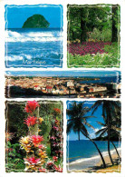 Martinique - Multivues - Fleurs - CPM - Voir Scans Recto-Verso - Other & Unclassified