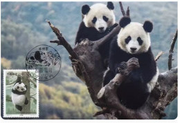 China 2000-3 National Protected Wildlife Pandas - Ours