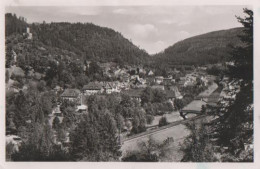 17680 - Bad Liebenzell Im Schwarzwald - 1953 - Calw