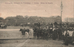 BELGIQUE - Anvers - Retour Des Fuyards - Une Troupe D'hommes Avec Des Boeufs - Carte Postale Ancienne - Antwerpen