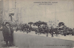 Japan - Bonsai Trees - L. Fonteneau, French Importer Based In Paris (rue Mesnil) - Other & Unclassified