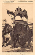India - Mission Of The Holy-Heart In Rajputana - An Elephant - Publ. Capucins Français Aix Indes 9 - Indien