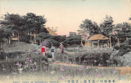 Japan - HORIKIRI - The Garden - Other & Unclassified