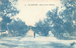 Algérie - EL KREIDER El Kheiter - Allée Du Parc Militaire - Ed. Collection Etoile - Photo Albert 14 - Other & Unclassified