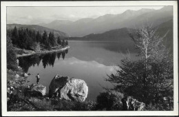 Slovenia-----Bohinjsko Jezero-----old Postcard - Slovenia