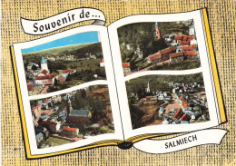 Salmiech * Souvenir De La Commune * Cp 4 Vues - Sonstige & Ohne Zuordnung