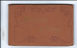 Ricordo Di Capri    10 Cartes - Sonstige & Ohne Zuordnung
